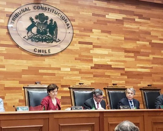Movilh repudia fallo del TC que niega igualdad legal a familia lesboparental y su hijo