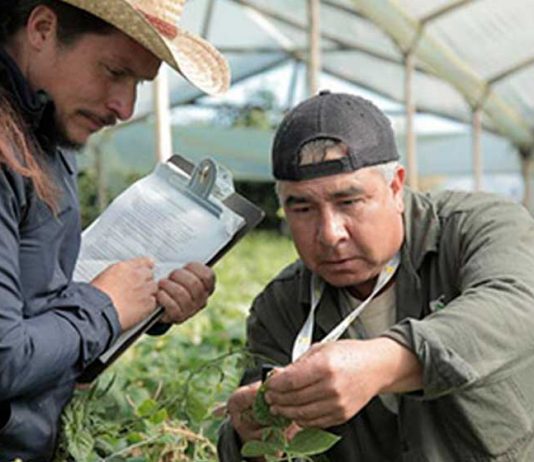 El país tiene gran potencial para ser referente en innovación y emprendimiento en América Latina, concluye informe ‘Colombia Tech Report 2021’