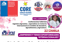 23°CHARLA: ¿EMPRENDO Y TENGO OPORTUNIDADES INTERNACIONALES?