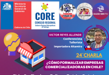 24°CHARLA: ¿CÓMO FORMALIZAR EMPRESAS COMERCIALIZADORAS EN CHILE?