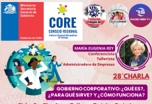 28°CHARLA:GOBIERNO CORPORATIVO: ¿QUÉ ES?, ¿PARA QUÉ SIRVE? Y ¿CÓMO FUNCIONA?