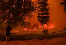 Tragedia en Chile: Incendios forestales en el centro-sur del país dejan ya 23 fallecidos