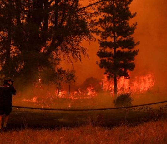 Tragedia en Chile: Incendios forestales en el centro-sur del país dejan ya 23 fallecidos