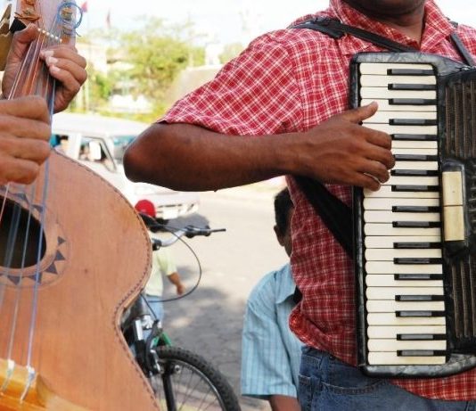 Inédito proyecto buscará indagar aspectos de la sociedad chilena a través del análisis de sus diferentes culturas musicales