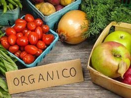 Odepa es una fuente importante de información para el sector de la agricultura orgánica en Chile