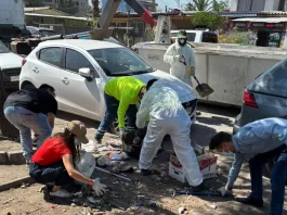 Tras años de denuncias de parte de la comunidad, Ñuñoa recuperó sector Las Encinas
