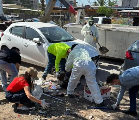 Tras años de denuncias de parte de la comunidad, Ñuñoa recuperó sector Las Encinas