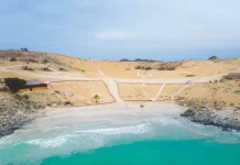 Playas de arena blanca y bosques nativos: Los tres destinos más apetecidos en Chile para este verano